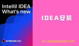 IDEA - 开发者工具安装