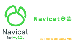 Navicat - 开发者工具安装